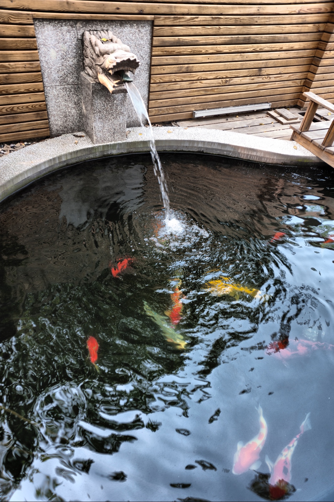 混搭花園其它實景圖